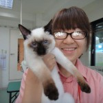 Ｎｏ.３７４　保護猫ちゃん