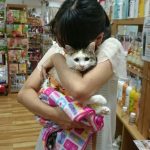 三毛猫  美雨(みう)ちゃん  保護家さんより
