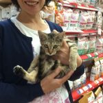 保護猫 ぺこちゃん