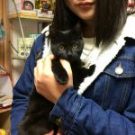 保護猫 ももちゃん