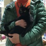 保護猫 てんちゃん