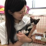 こはくっ子 かぶとくん