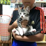 こはくっ子 あゆみちゃん