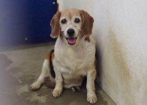 d693b2d2cffb14b4f3a5eb2f69a34a1711441eec.51.2.9.2