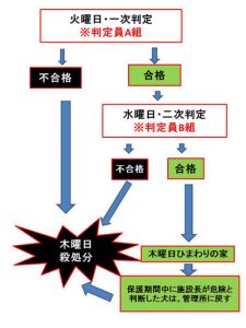 d6dd53cd098a8ea27fc4cf4d83938752f9a20e54.51.2.9.2