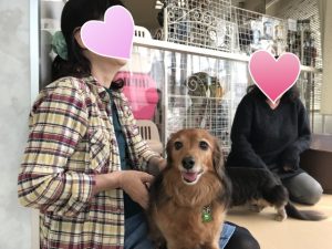 18-04-02-01-11-29-609_deco