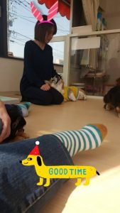 18-04-02-01-13-37-833_deco