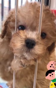 18-04-02-01-16-29-095_deco