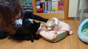 DSCPDC_0001_BURST20180421135729642