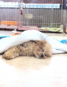 18-05-07-23-50-15-920_deco