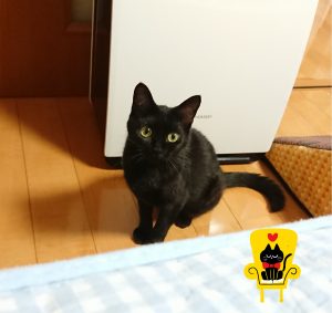 18-05-07-23-54-30-080_deco